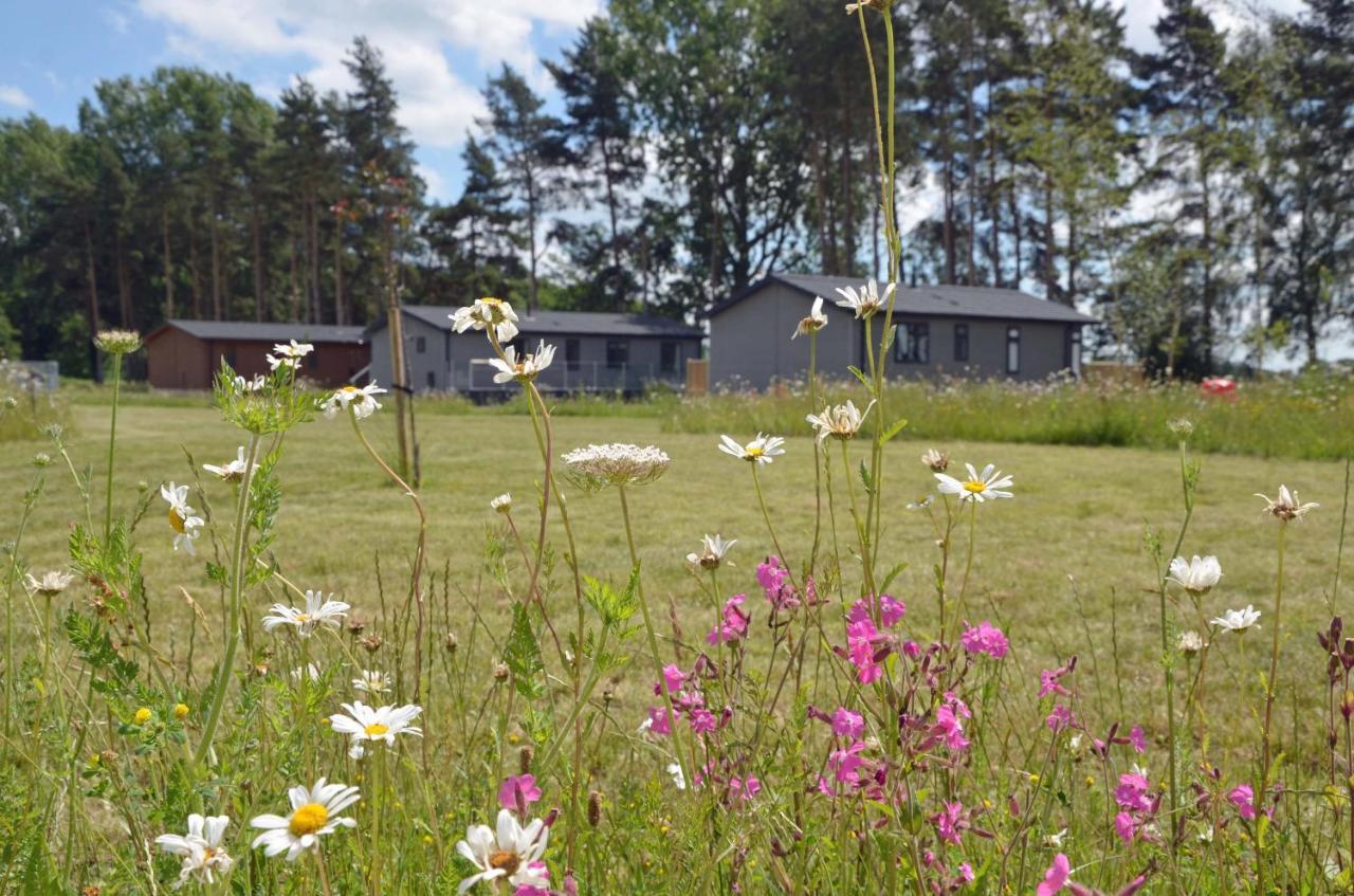 Hollicarrs - Sunflower Lodge York Exterior photo